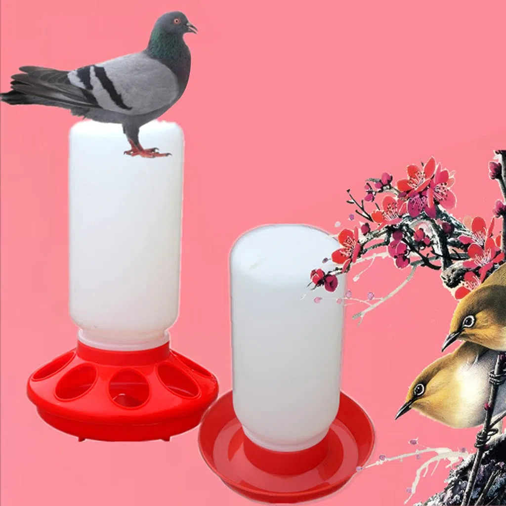 Kit mangiatoia e abbeveratoio per pulcini per bambini per un massimo di 8 pulcini in plastica facile da pulire altamente pratico per abbeveratoio e alimentatore piccolo