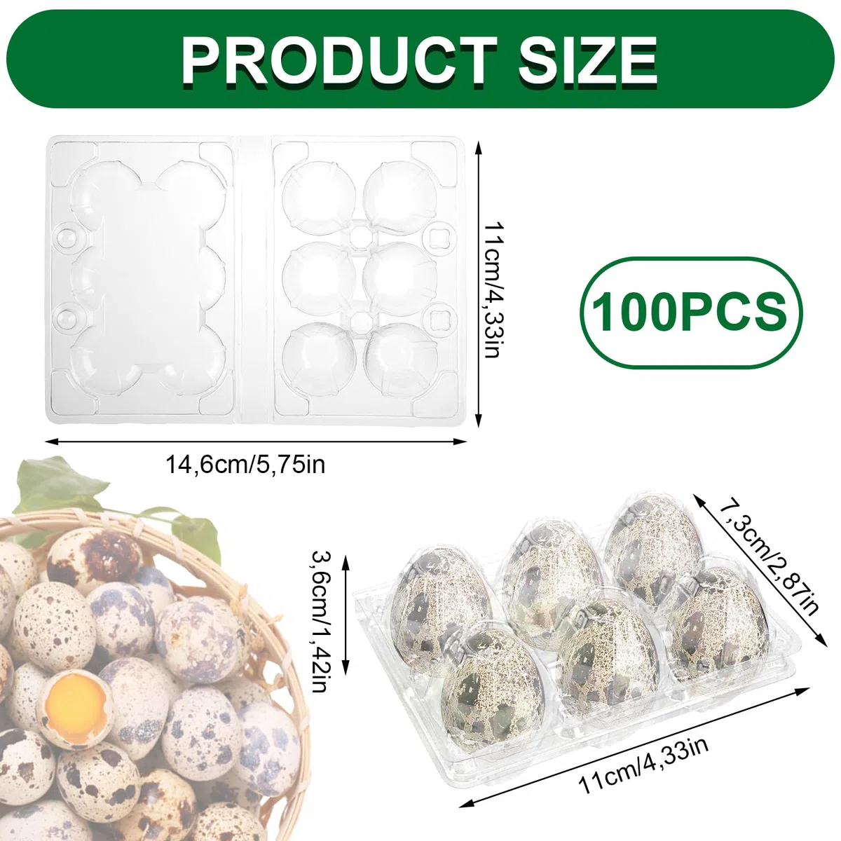 APACALI 100 scatole per uova di quaglia, 6 griglie, in plastica, per uova di quaglia
