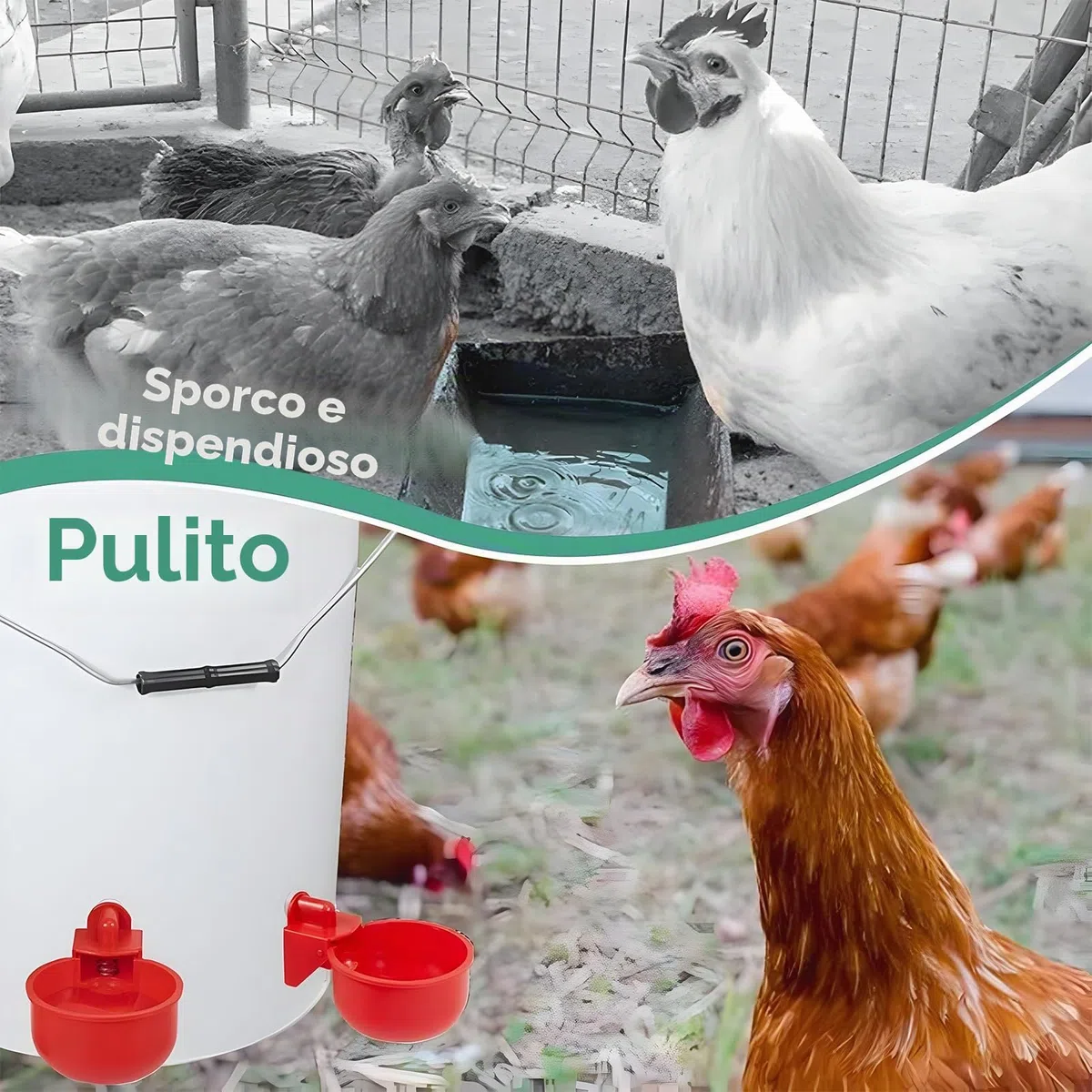 10 Pezzi Abbeveratoio per Galline con Trapano,Abbeveratoio per Galline,DIY Kit Bevitori Automatici Ciotole,Abbeveratoio automatico per pollame,per Uccelli,Pollame,Piccioni,Polli,Anatre