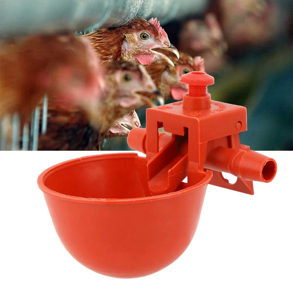 Haofy Sistema di Abbeveraggio Automatico per L'irrigazione, Alimentatore per Abbeveratoio per Pollame, 10 Pezzi per Abbeveratoio per Pollame