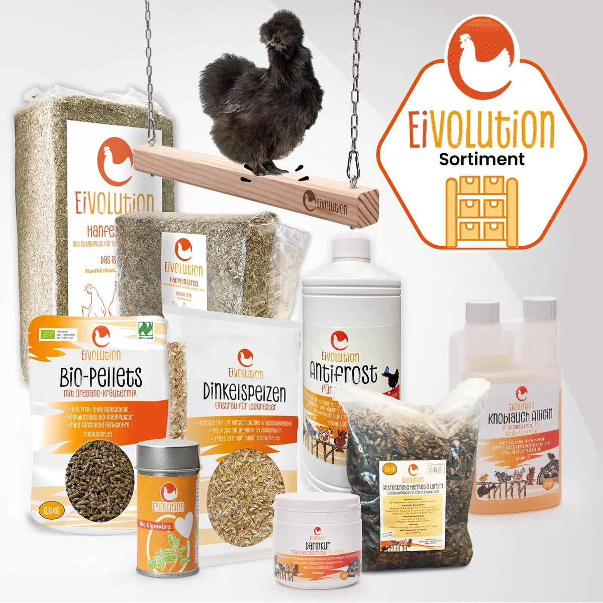 Distributore automatico di mangime per polli, 5 kg, con piedini