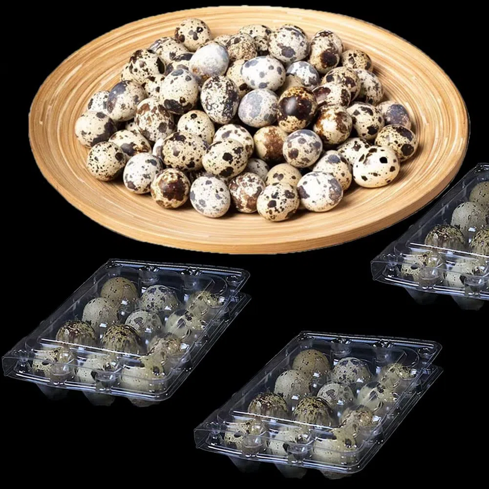 Confezione da 30 scatole per uova di quaglia, 12 griglie, scatole per uovo di quaglia, scatole per uovo di quaglia, in plastica, trasparenti, per uova di quaglia