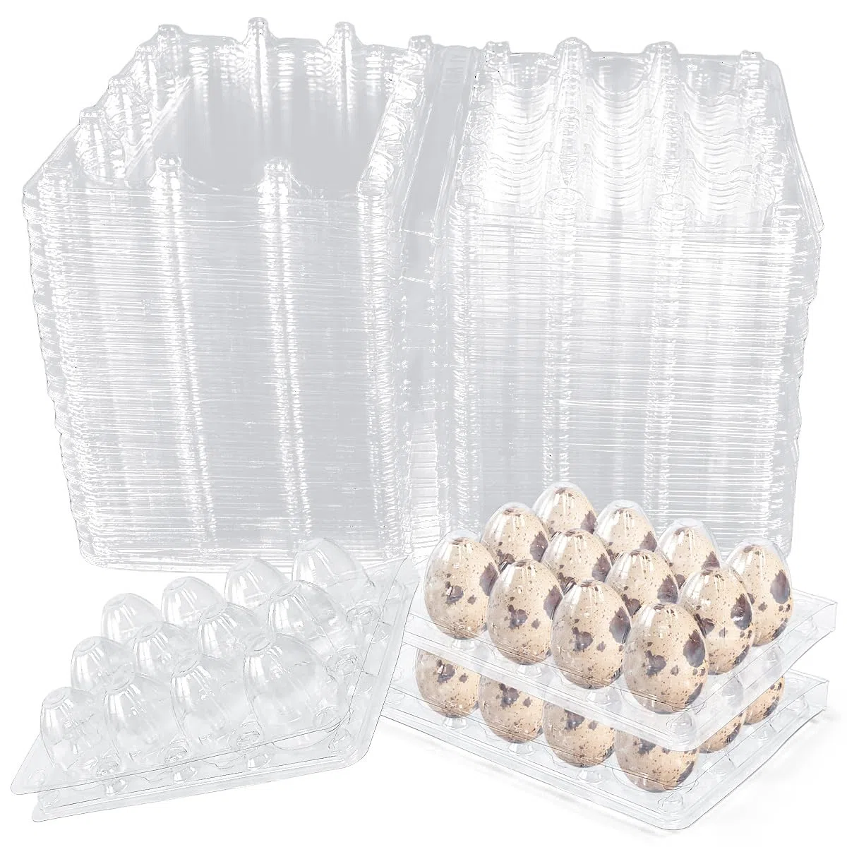 50 Portauova per Uova di Quaglia a 12 Posti - Scatole in Plastica per Uova di Quaglia, Vassoio Contenitore per Uova Quaglia per Aziende Agricole Domestiche o per Conservare e Trasportare
