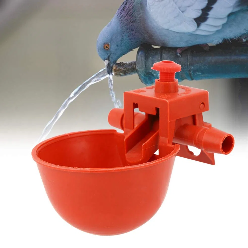 Haofy Sistema di Abbeveraggio Automatico per L'irrigazione, Alimentatore per Abbeveratoio per Pollame, 10 Pezzi per Abbeveratoio per Pollame