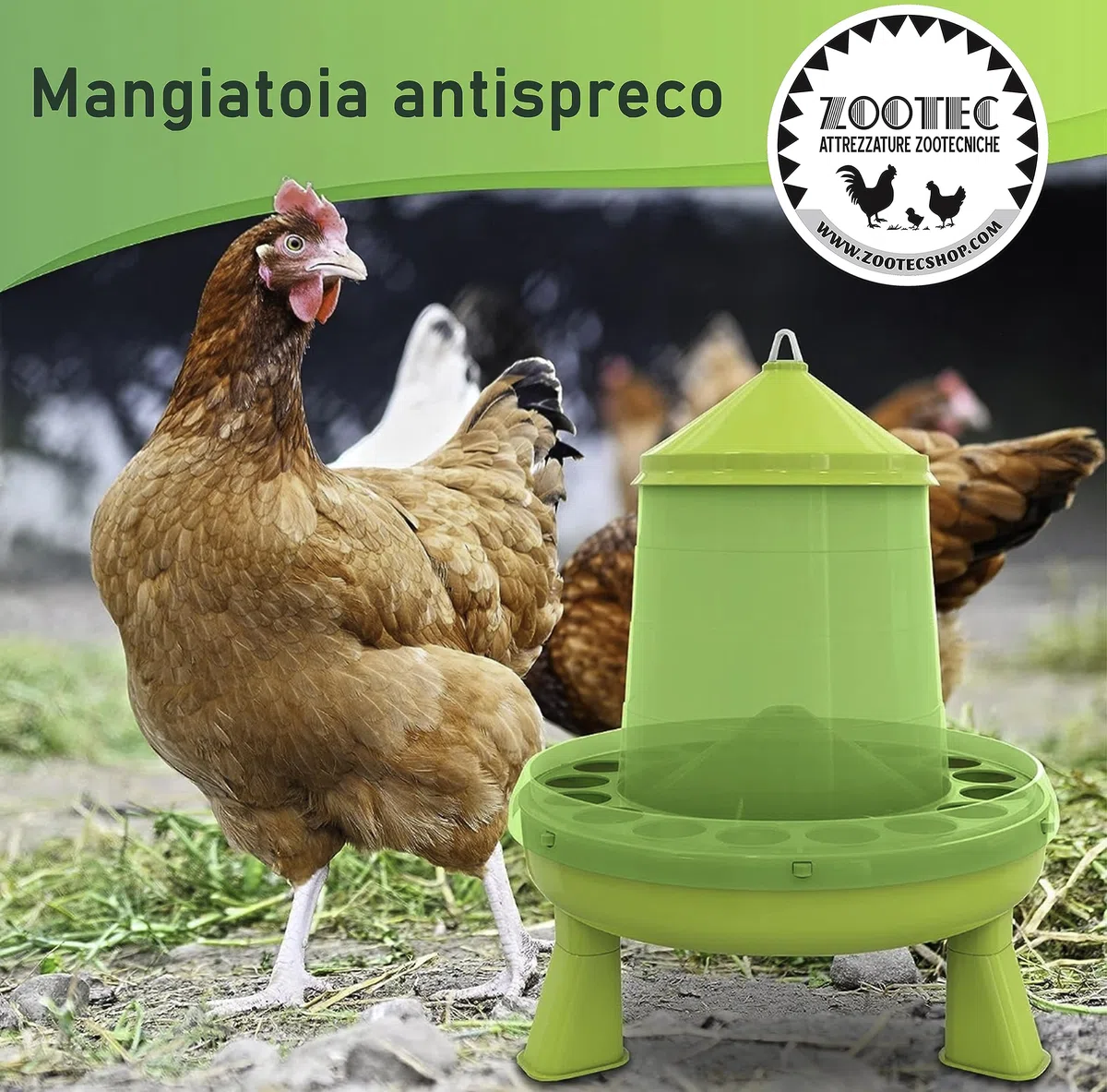 Mangiatoia per Galline 4 Kg e Abbeveratoio per Galline 6 L - in Plastica Trasparente Resistente – Piedini rimovibili