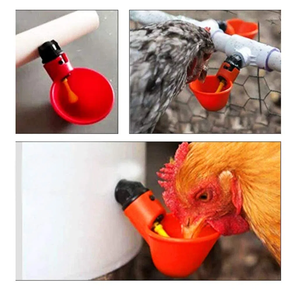Abbeveratoio per pollame, 10 pezzi automatico pollo acqua tazze abbeveratoio 1/2 pollici tee pollame gallina alimentazione strumenti rosso per Bestiame Pollo Gallina Pollaio Mangime