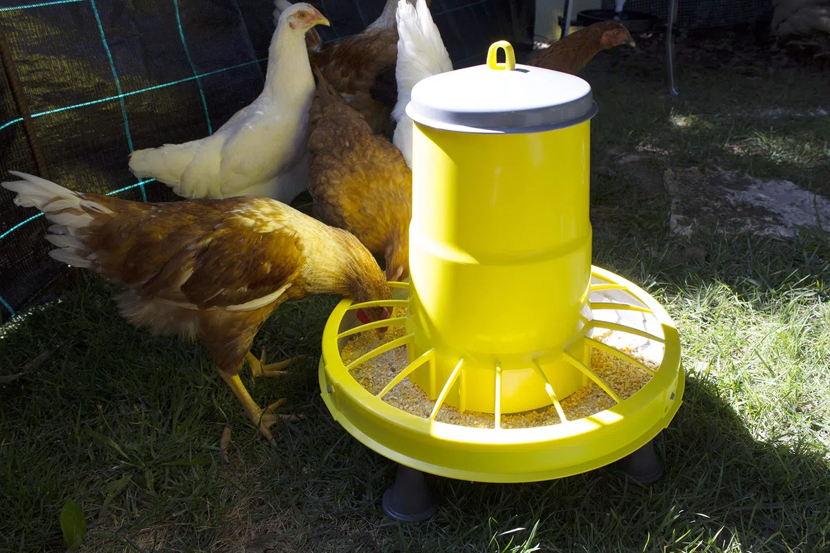 Zootec, Mangiatoia per Galline,Polli,Pulcini, Antispreco, 16 kg, Automatica, a Tramoggia, da Appendere, in Plastica, da Esterno e Interno, (Giallo/Grigio) - Made in Italy
