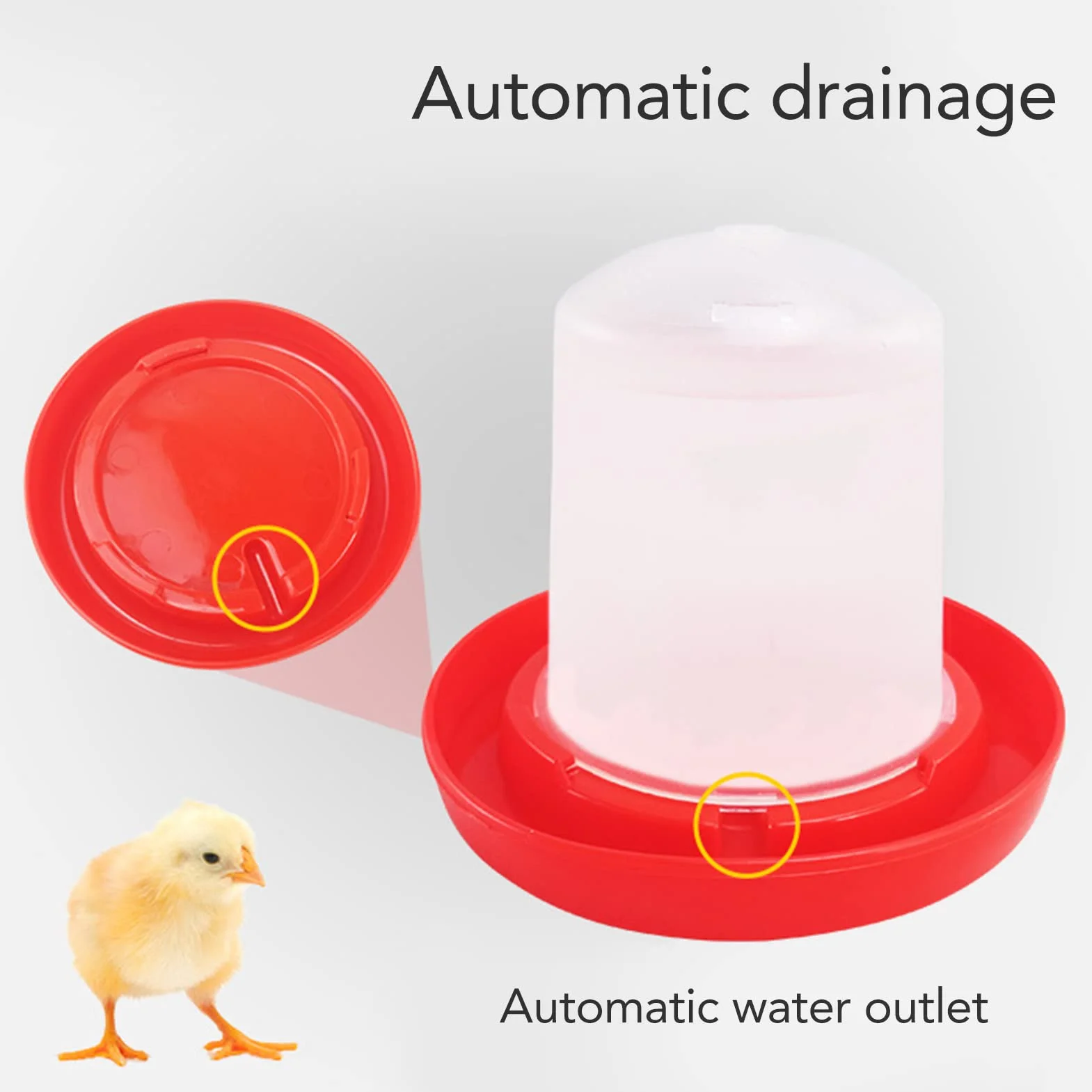 Mangiatoia per pulcini, abbeveratoio per pollame, abbeveratoio per pollame, abbeveratoio per polli, abbeveratoio automatico per polli, mangiatoia per polli, abbeveratoio per polli, secchio per mangime