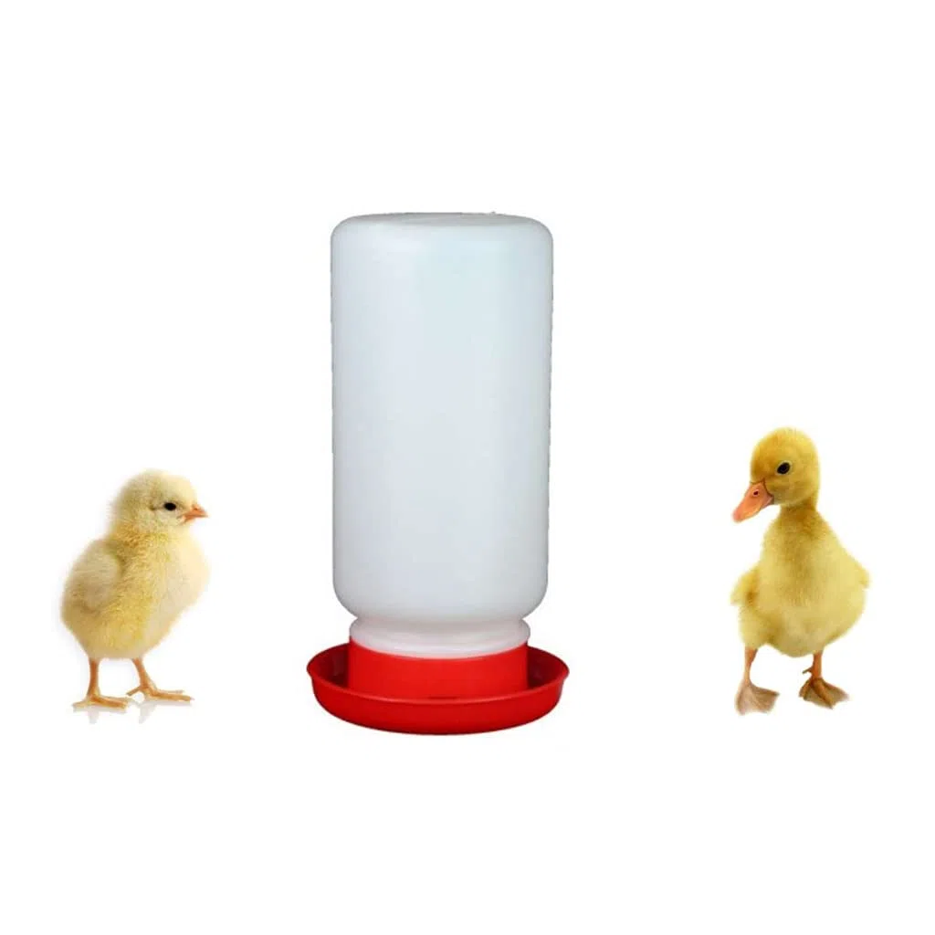 Kit mangiatoia e abbeveratoio per pulcini per bambini per un massimo di 8 pulcini in plastica facile da pulire altamente pratico per abbeveratoio e alimentatore piccolo