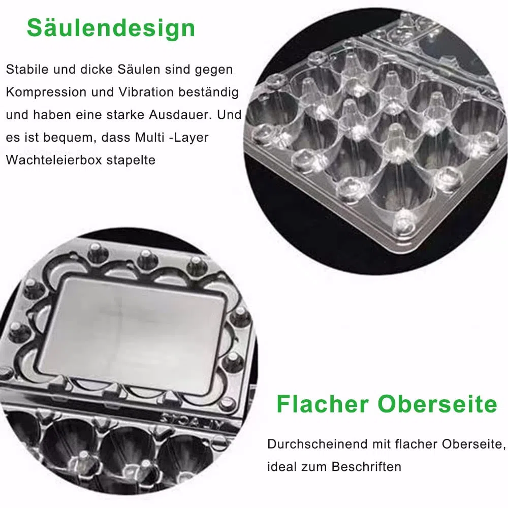 Confezione da 30 scatole per uova di quaglia, 12 griglie, scatole per uovo di quaglia, scatole per uovo di quaglia, in plastica, trasparenti, per uova di quaglia