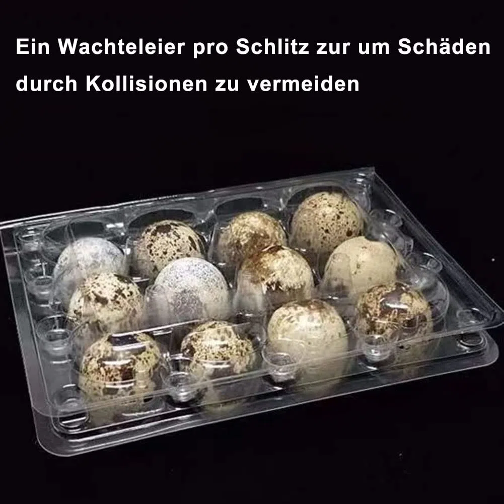 Confezione da 30 scatole per uova di quaglia, 12 griglie, scatole per uovo di quaglia, scatole per uovo di quaglia, in plastica, trasparenti, per uova di quaglia
