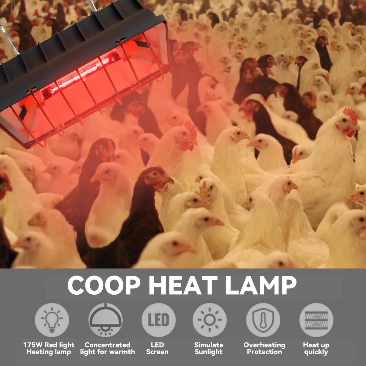 Lampada a luce rossa da 175 W per polli: lampada riscaldante per pollaio con cavo da 1,8 metri, lampada riscaldante per polli, lampada riscaldante per pulcini, lampada per pulcini con interruttore
