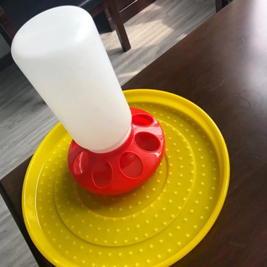 Kit mangiatoia e abbeveratoio per pulcini per bambini per un massimo di 8 pulcini in plastica facile da pulire altamente pratico per abbeveratoio e alimentatore piccolo