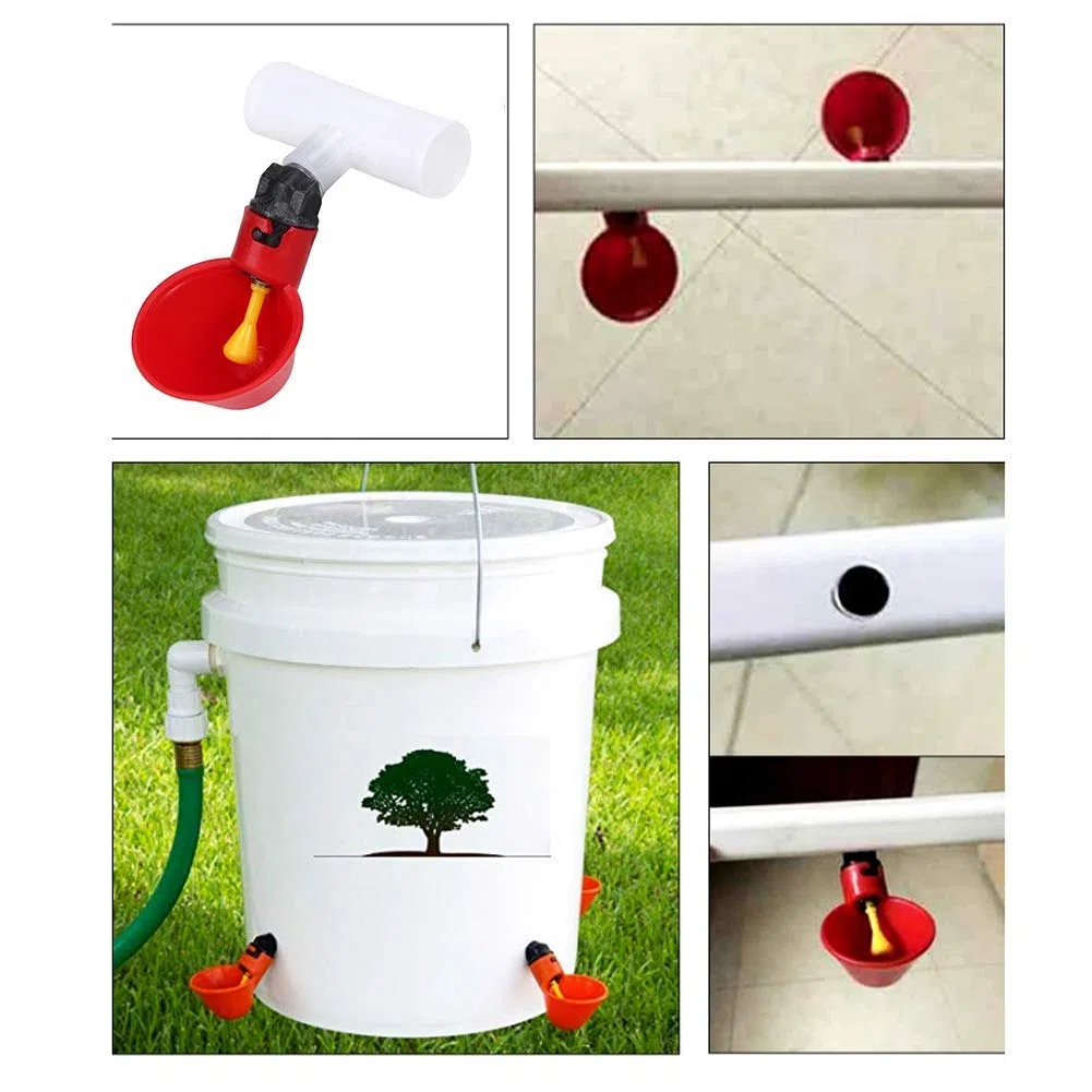 Abbeveratoio per pollame, 10 pezzi automatico pollo acqua tazze abbeveratoio 1/2 pollici tee pollame gallina alimentazione strumenti rosso per Bestiame Pollo Gallina Pollaio Mangime