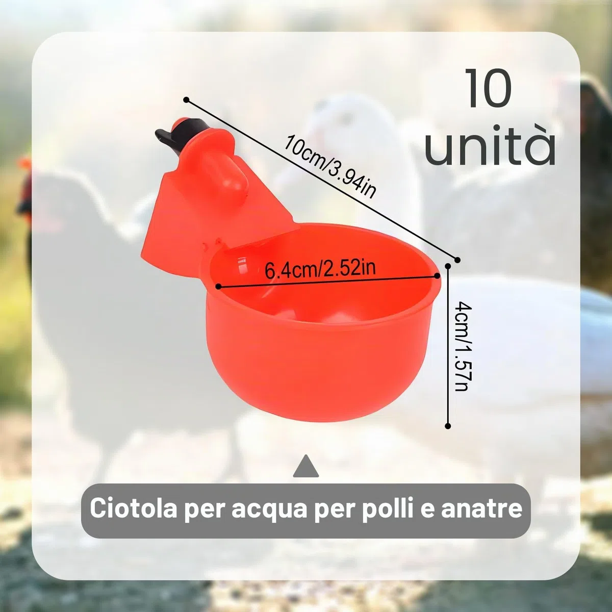 10 Pezzi Abbeveratoio per Galline con Trapano,Abbeveratoio per Galline,DIY Kit Bevitori Automatici Ciotole,Abbeveratoio automatico per pollame,per Uccelli,Pollame,Piccioni,Polli,Anatre