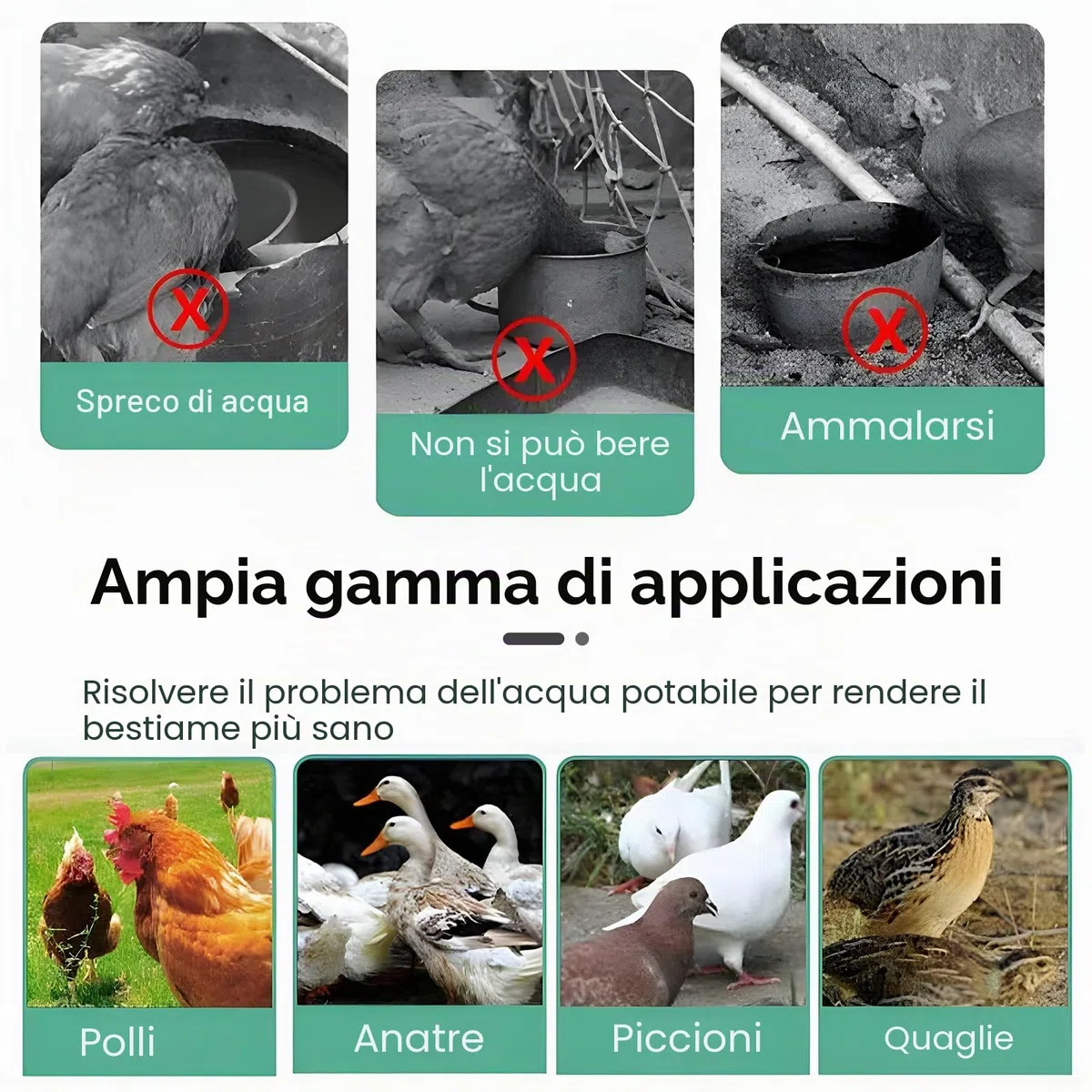 10 Pezzi Abbeveratoio per Galline con Trapano,Abbeveratoio per Galline,DIY Kit Bevitori Automatici Ciotole,Abbeveratoio automatico per pollame,per Uccelli,Pollame,Piccioni,Polli,Anatre