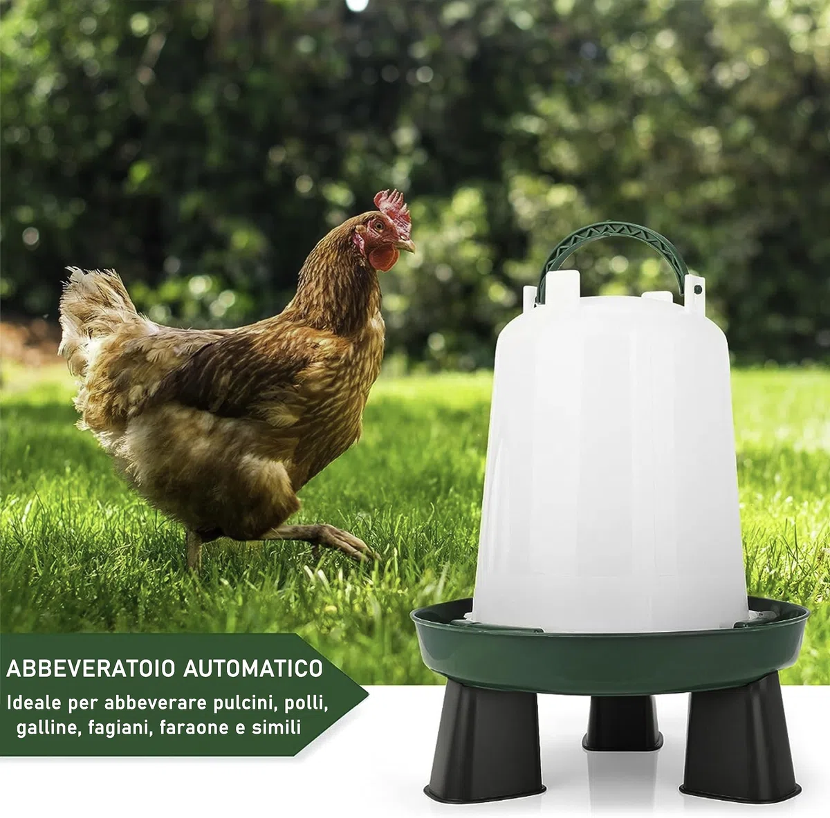 Mangiatoia per Galline 4 Kg e Abbeveratoio per Galline 6 L - in Plastica Trasparente Resistente – Piedini rimovibili