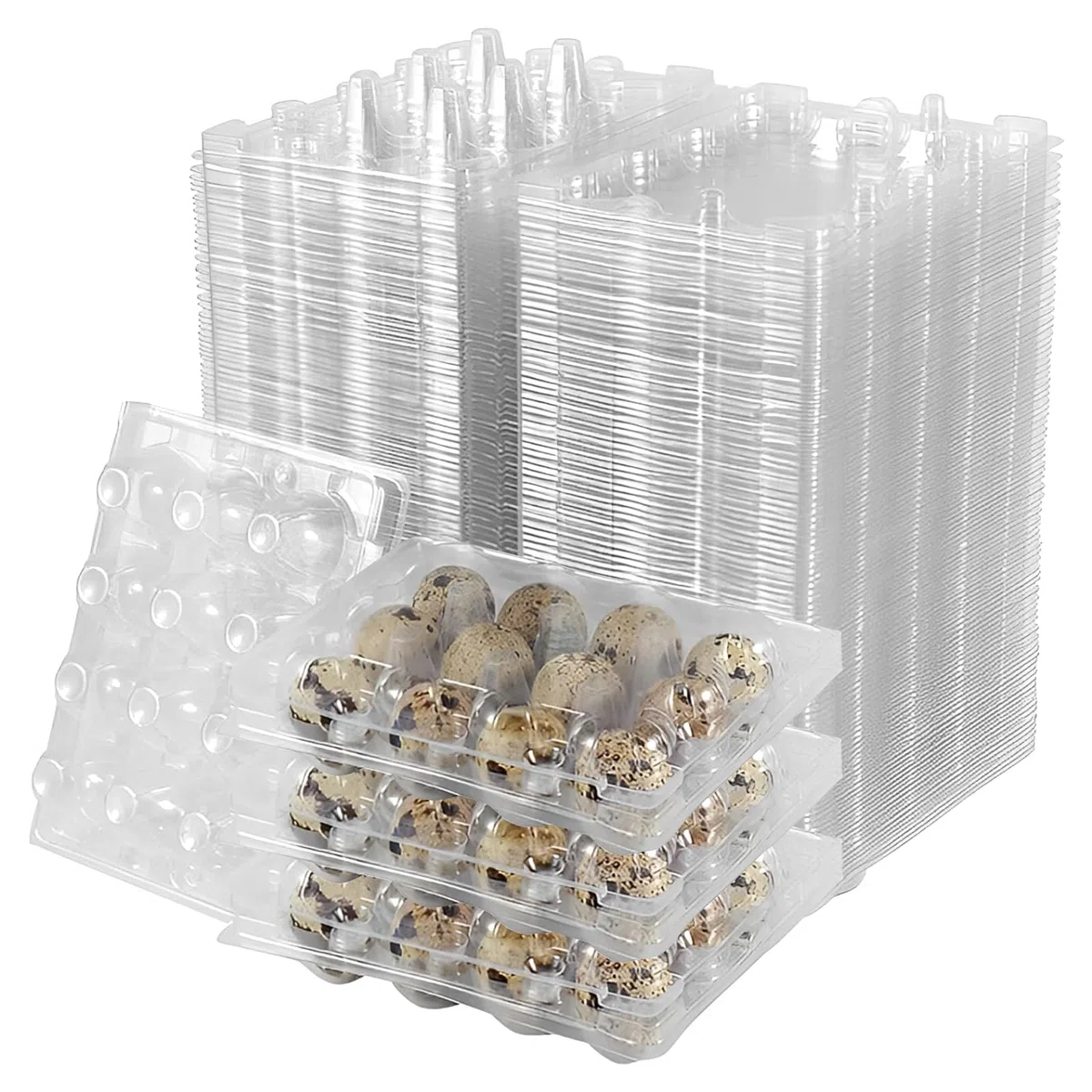 APACALI 100 scatole per uova di quaglia, 12 griglie, in plastica, con coperchio, scatole trasparenti per uova di quaglia