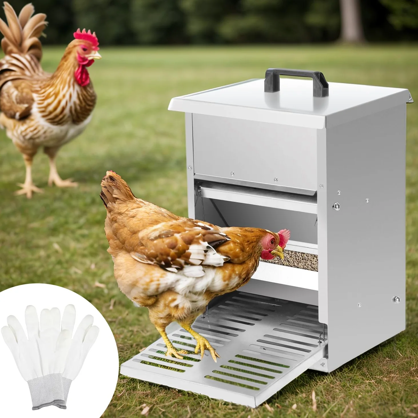 Sonnewelt Mangiatoia automatica per polli 5 kg, mangiatoia con pedale automatico, mangime per pollame, accessorio ideale per pollame, impermeabile e a prova di ratto, zincato