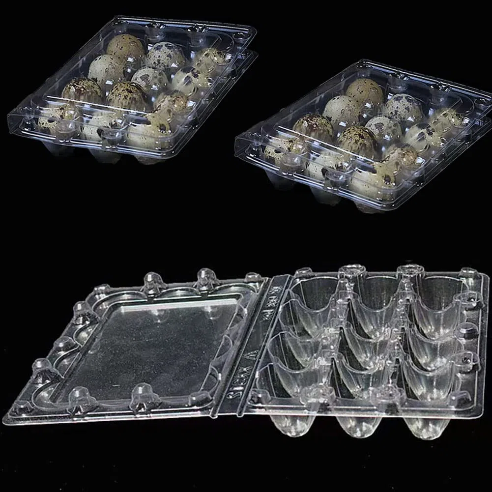 Confezione da 30 scatole per uova di quaglia, 12 griglie, scatole per uovo di quaglia, scatole per uovo di quaglia, in plastica, trasparenti, per uova di quaglia